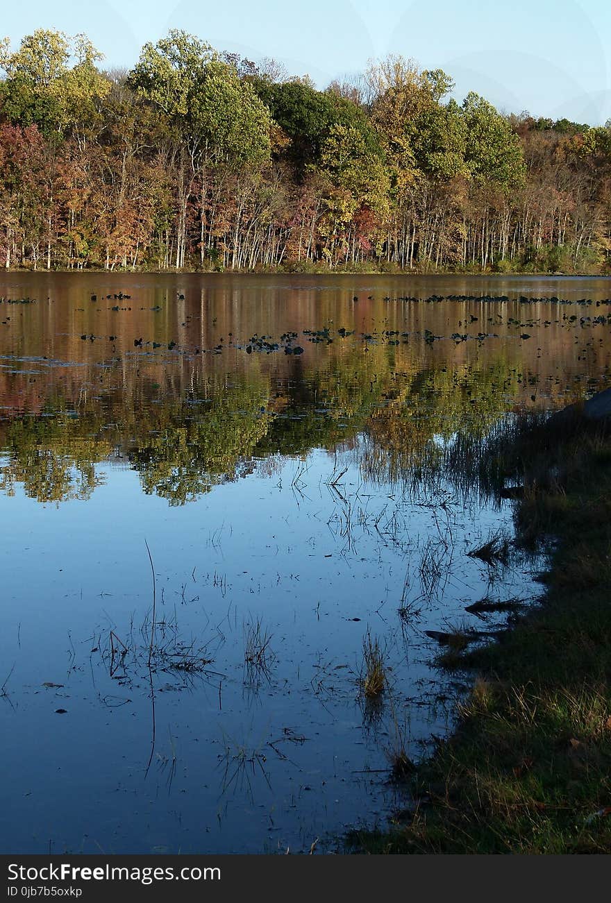 Reflection, Water, Nature, Body Of Water