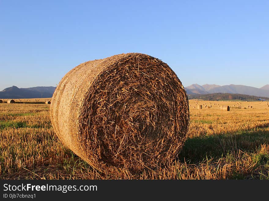 Hay, Sky, Field, Straw