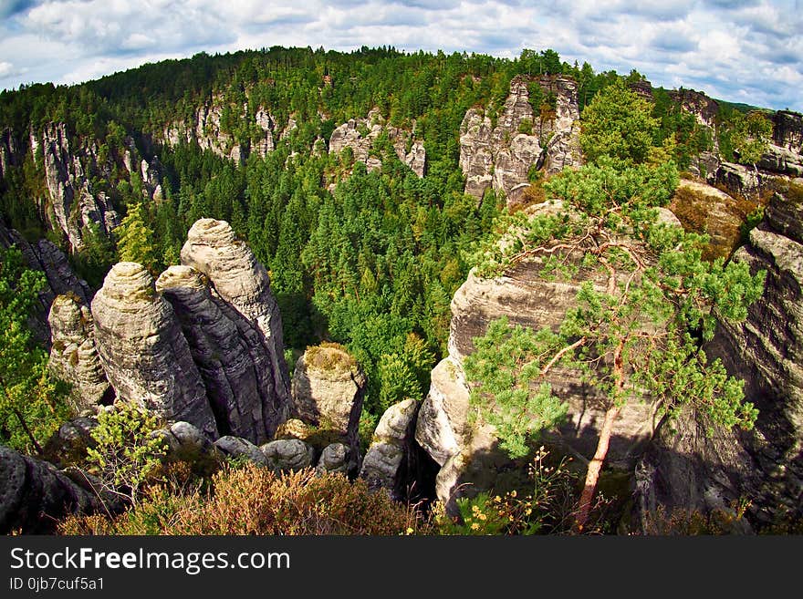 Rock, Nature, Nature Reserve, Vegetation