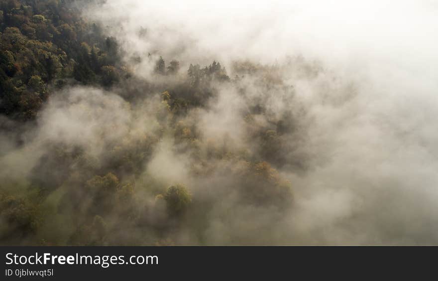 Mist, Fog, Sky, Cloud