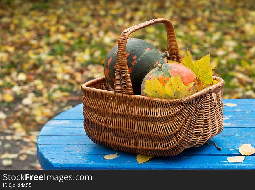 Basket, Gift Basket, Picnic Basket, Still Life