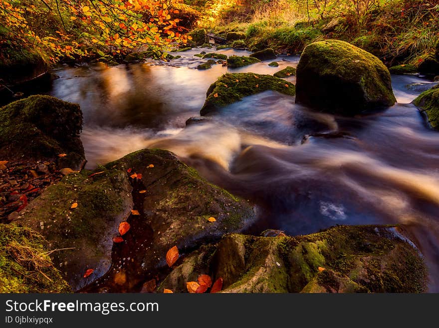 Water, Nature, Stream, Body Of Water