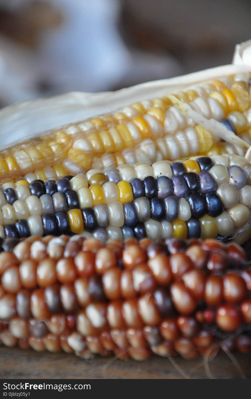 Corn On The Cob, Commodity, Bead, Maize