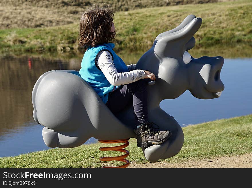 Mammal, Vertebrate, Grass, Inflatable