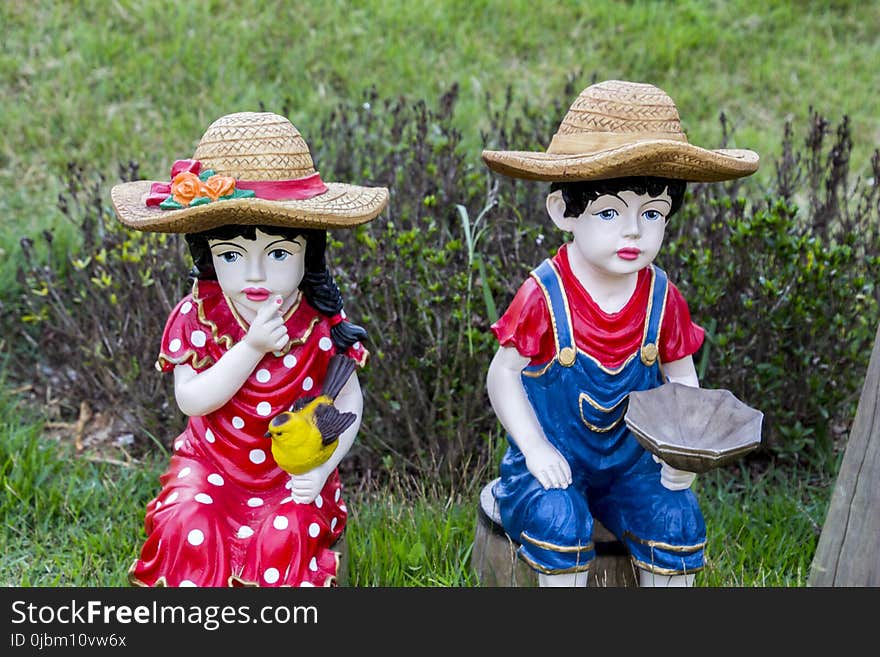 Plant, Grass, Headgear, Garden