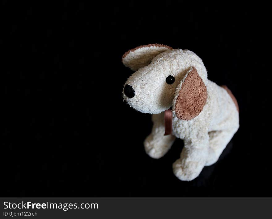 Stuffed Toy, Dog Like Mammal, Puppy, Plush