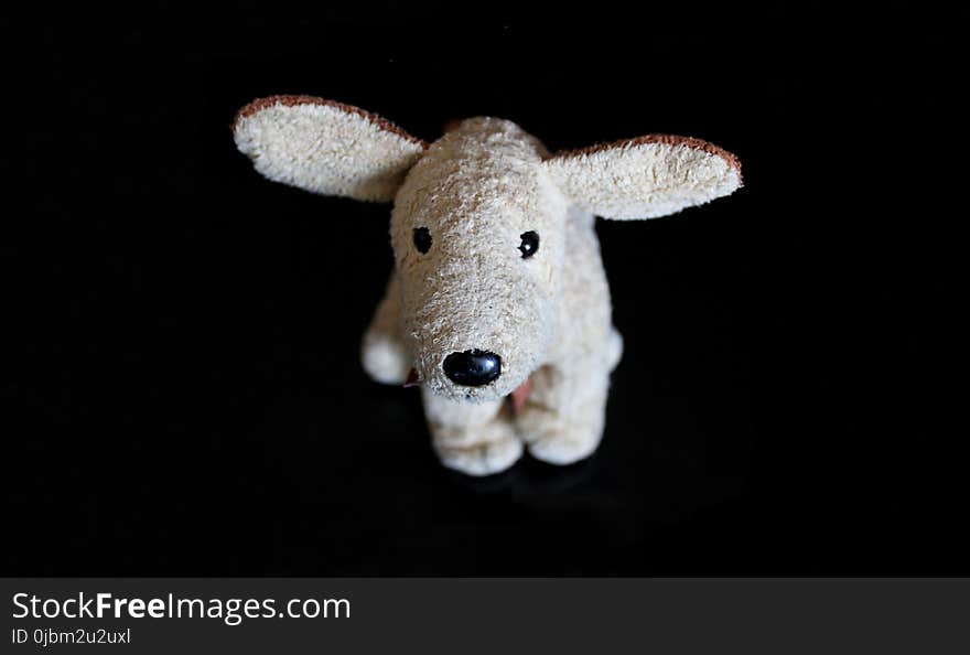 Stuffed Toy, Snout, Fur