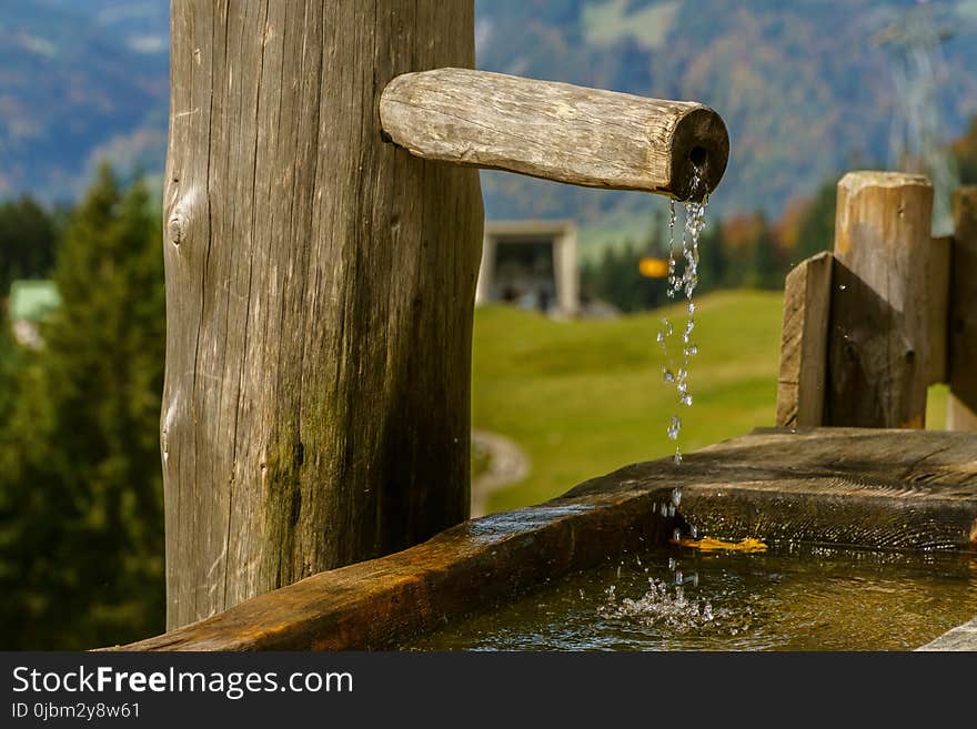 Water, Wood, Tree, Grass