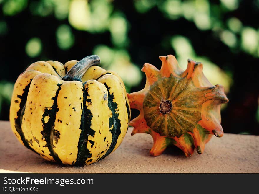 Vegetable, Winter Squash, Cucurbita, Calabaza