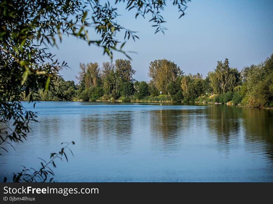 Water, Reflection, Nature, River