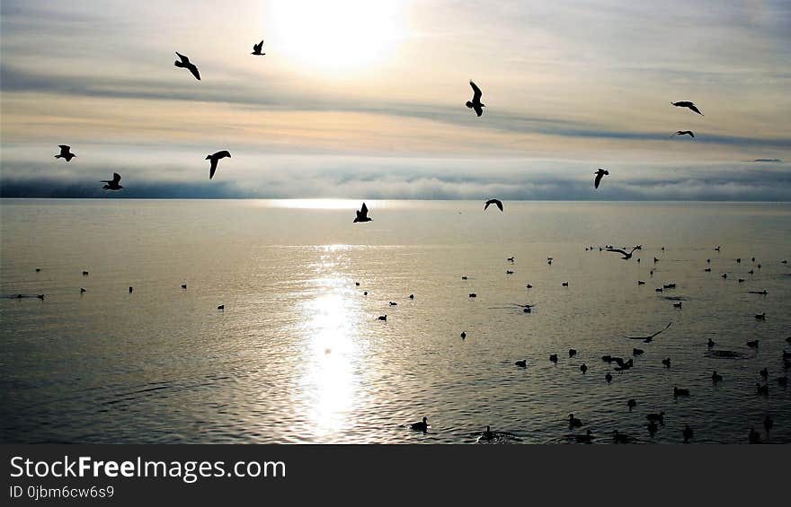 Sky, Sea, Horizon, Water