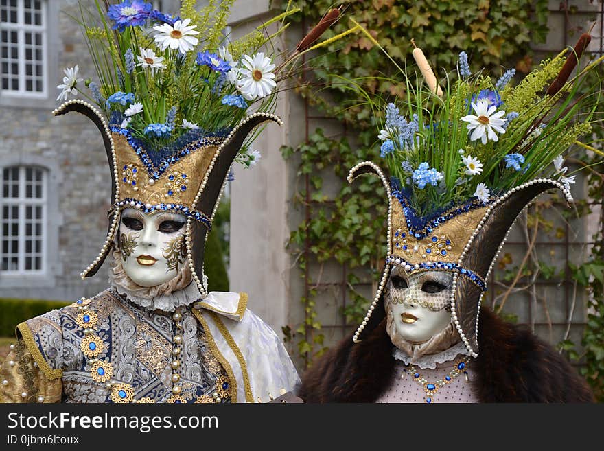 Masque, Carnival, Headgear, Plant