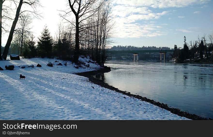 Winter, Snow, Waterway, Water