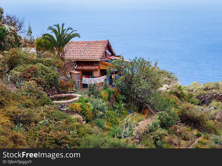 Vegetation, Property, Coast, Real Estate