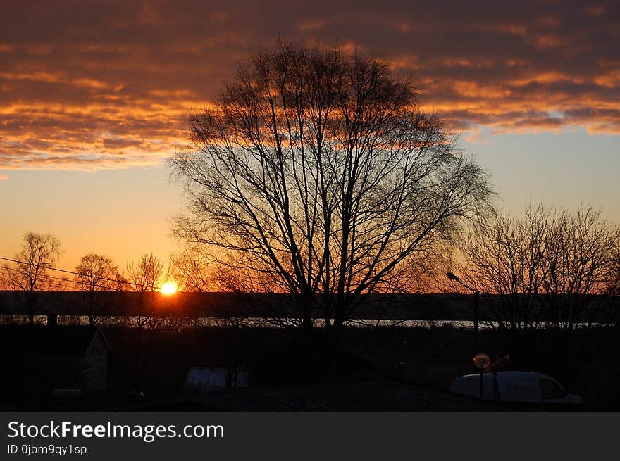 Sky, Sunset, Dawn, Tree