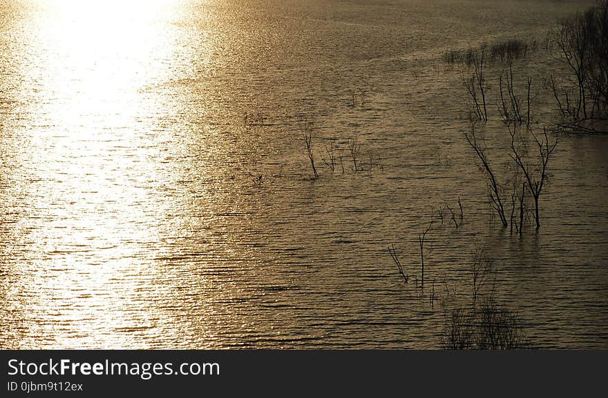 Water, Reflection, Sky, Sunlight