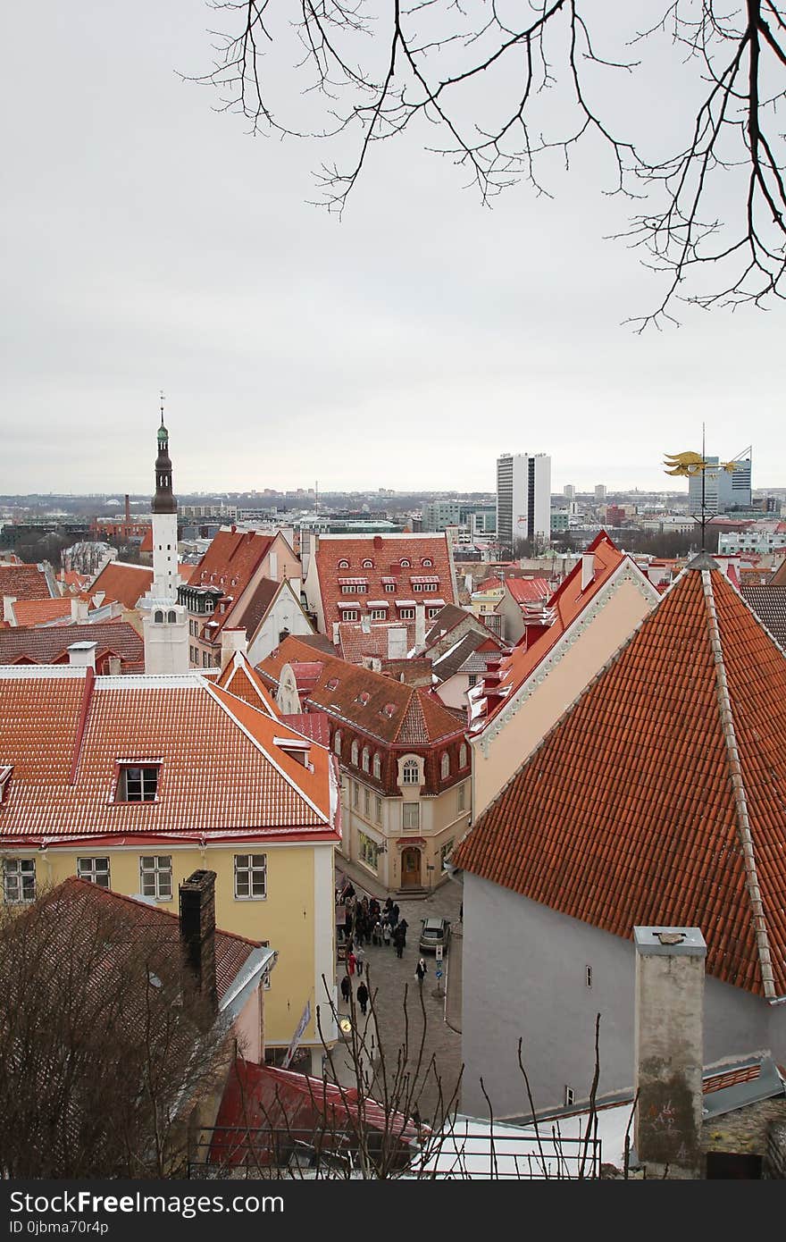 Town, Roof, Landmark, Urban Area