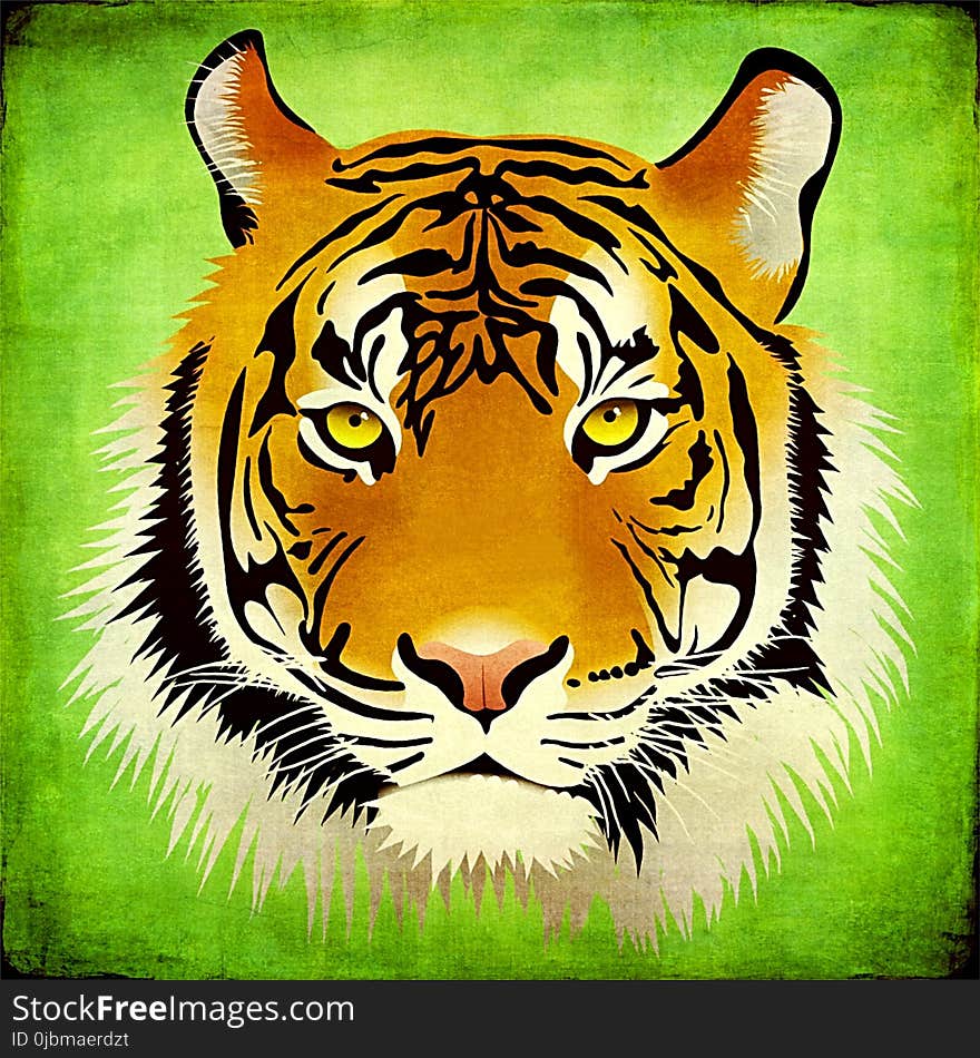 Tiger, Mammal, Fauna, Cat Like Mammal