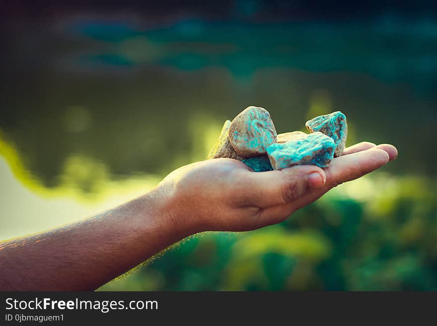 Hand, Close Up, Finger, Stock Photography