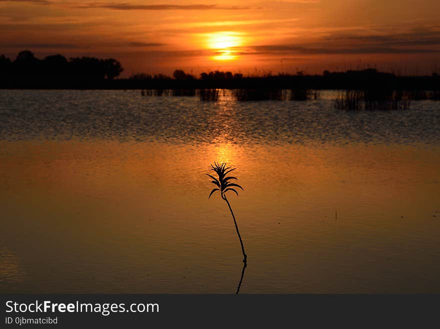 Reflection, Sunset, Sky, Sunrise