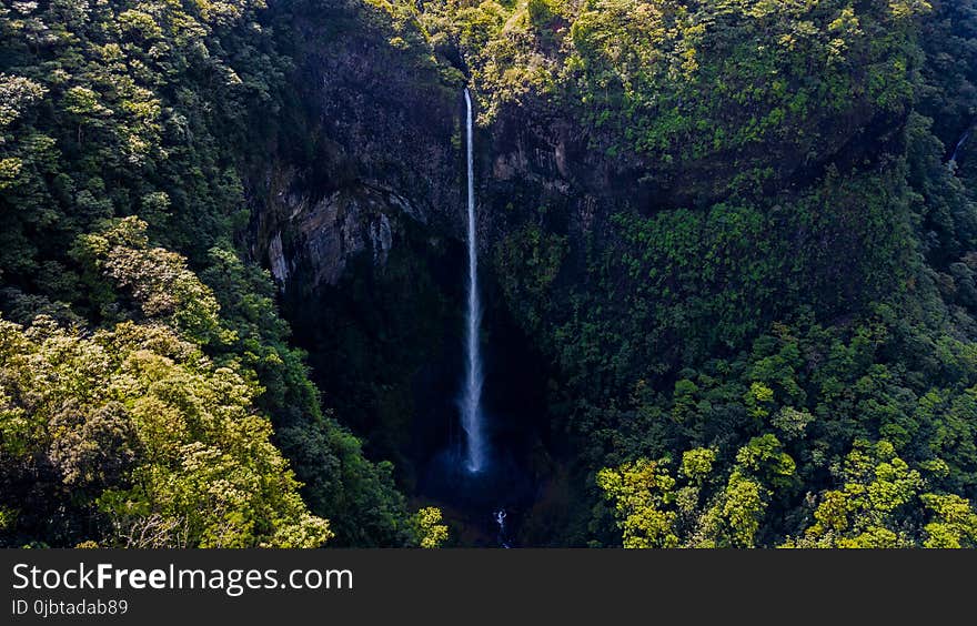 Waterfall Surrounded by Green Leaf Trees at Daytime