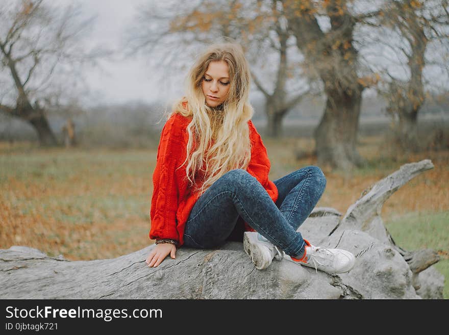 Woman in Red Sweater Sitting on Cutted Tree