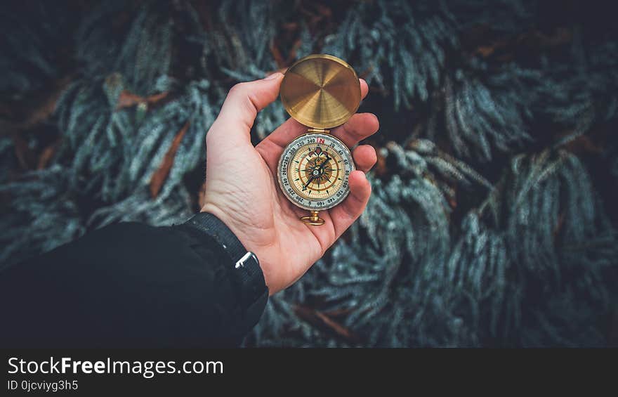 Person Holding Compass