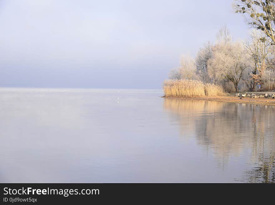 Waterway, Reflection, Water, Shore