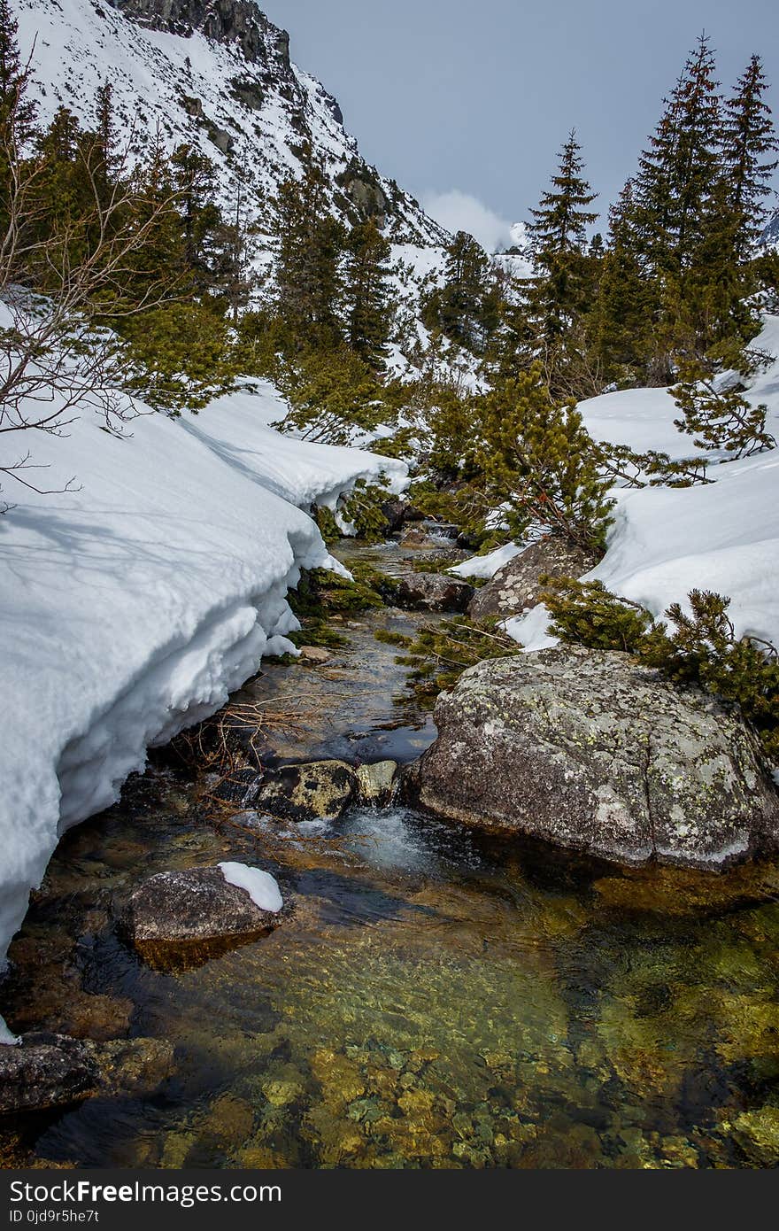 Snow, Water, Winter, Nature