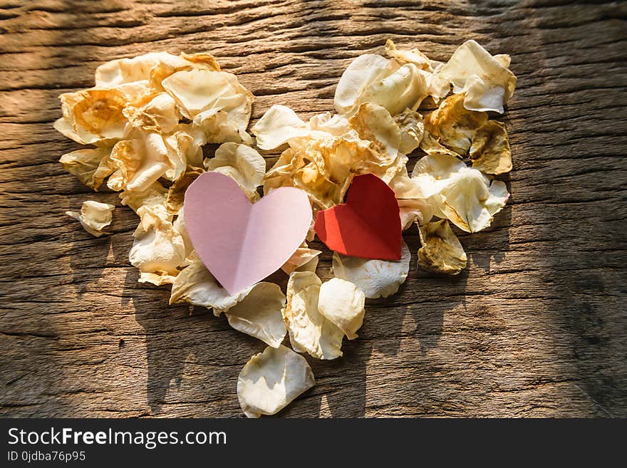 memory my love, two paper heart shape above white rose withered , put on old wooden table, Valentine's day concept.