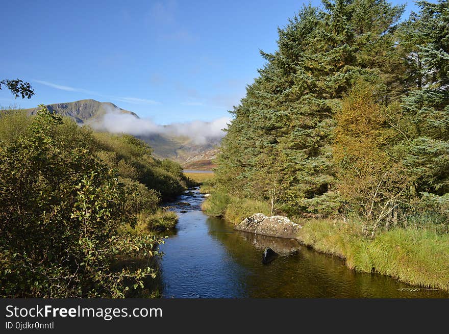 Nature, Water, Wilderness, Nature Reserve