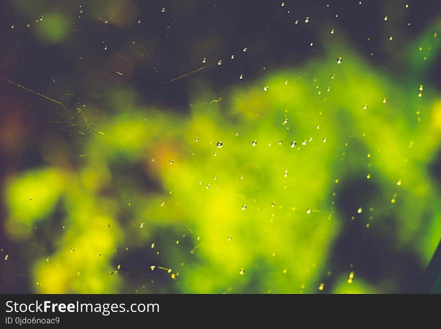 Drops of water on spider web natural filtered background. Drops of water on spider web natural filtered background.