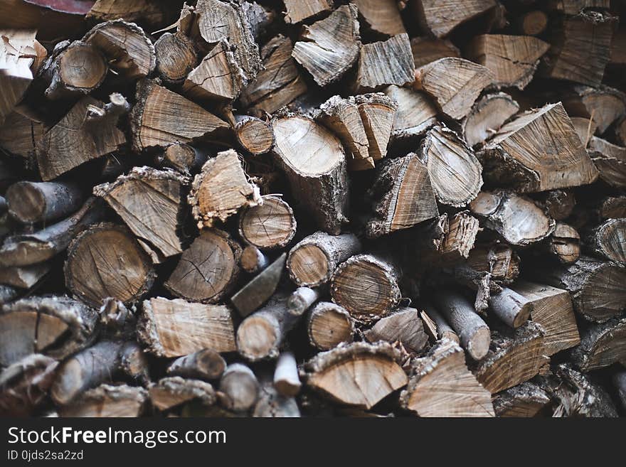 Pile of Chopped Logs