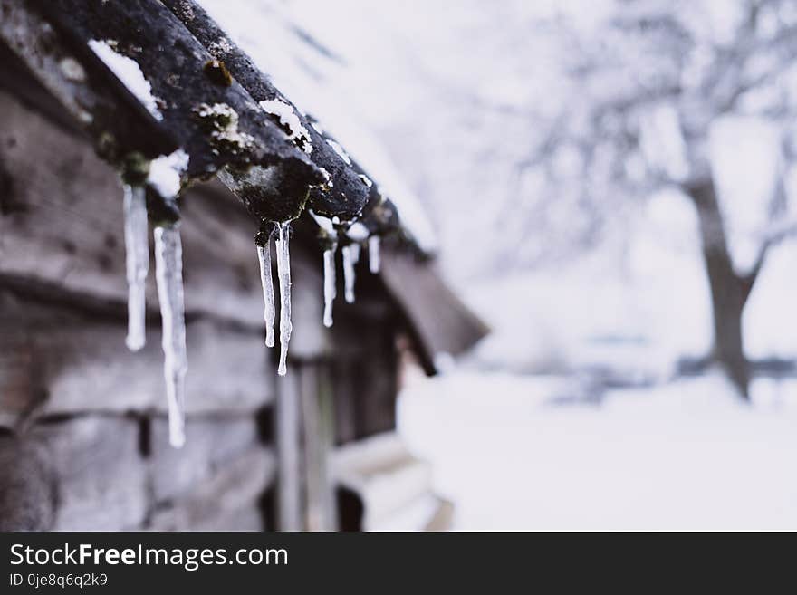 Ice on Roof