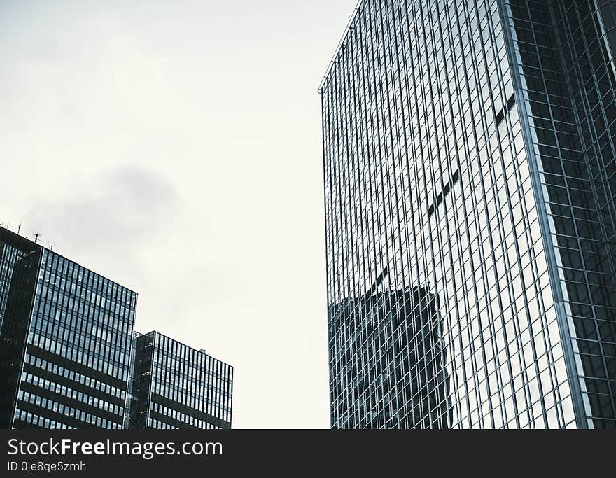 High-rise Glass Building