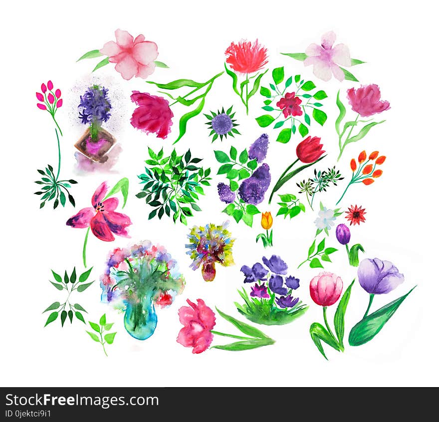 Set Of Watercolor Painted Floral And Herbal Elements.