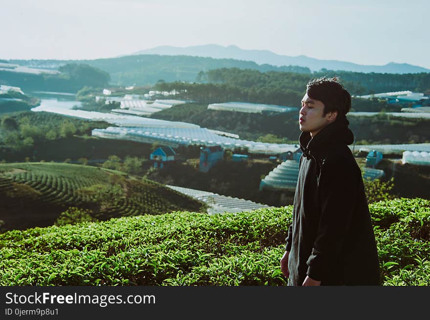 Man in Black Pullover Hoodie Standing Near Green Leaf Field