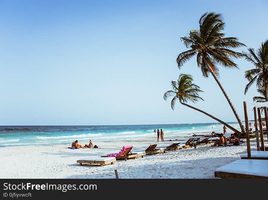 Group of People on Beach