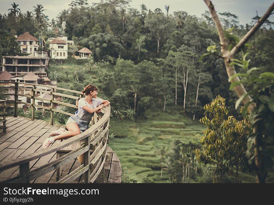 Woman Sits On Bench Overlooking Tall Trees At Daytime