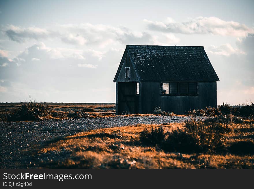 Abandoned House