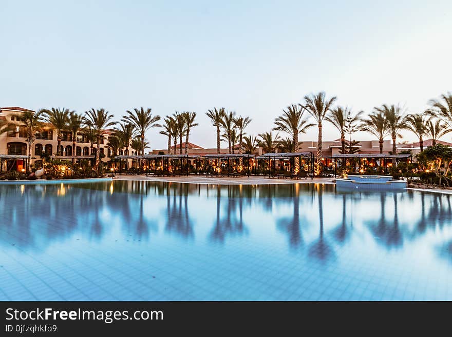 In-ground Swimming Pool Near Palm Trees