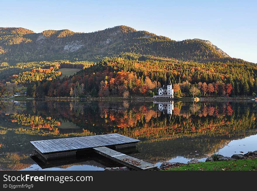 Reflection, Nature, Lake, Leaf