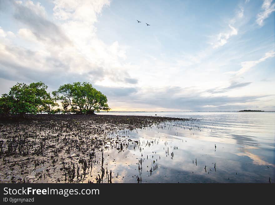 Reflection, Sky, Water, Cloud