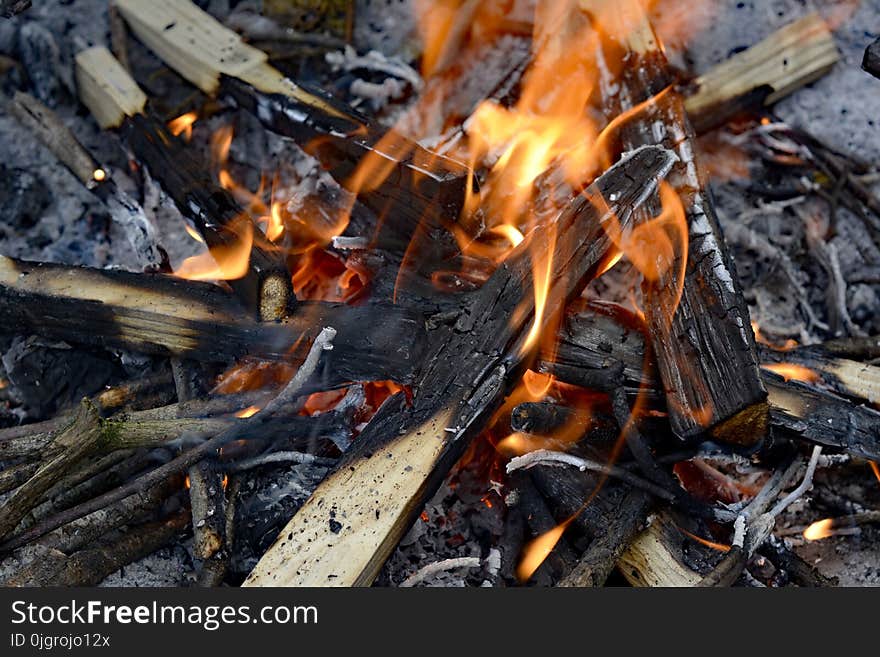 Campfire, Fire, Charcoal, Animal Source Foods