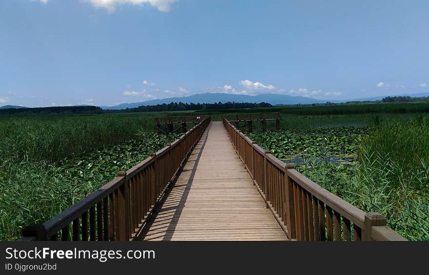 Nature Reserve, Sky, Wetland, Grassland