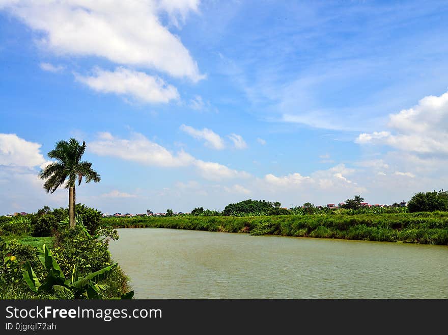 Sky, Waterway, Vegetation, Cloud