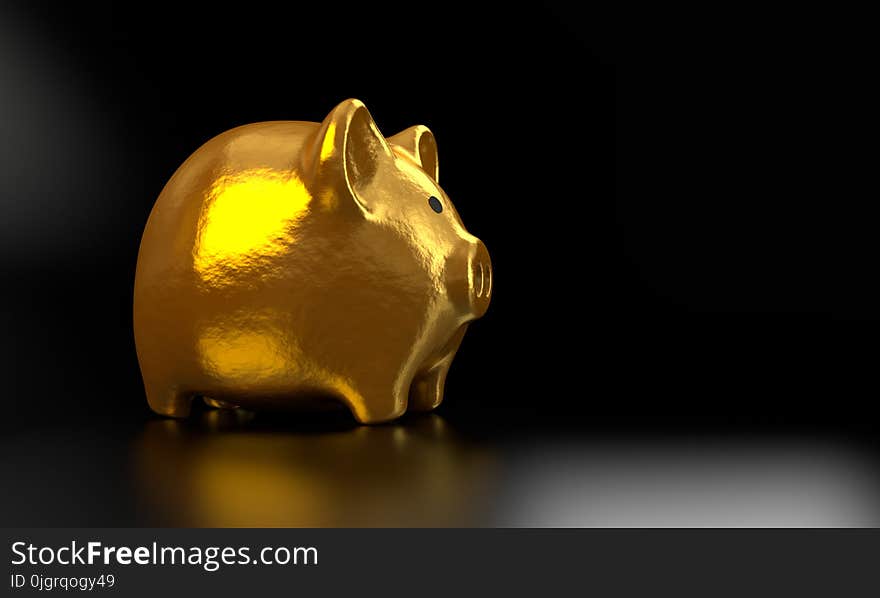 Close Up, Snout, Still Life Photography, Rat