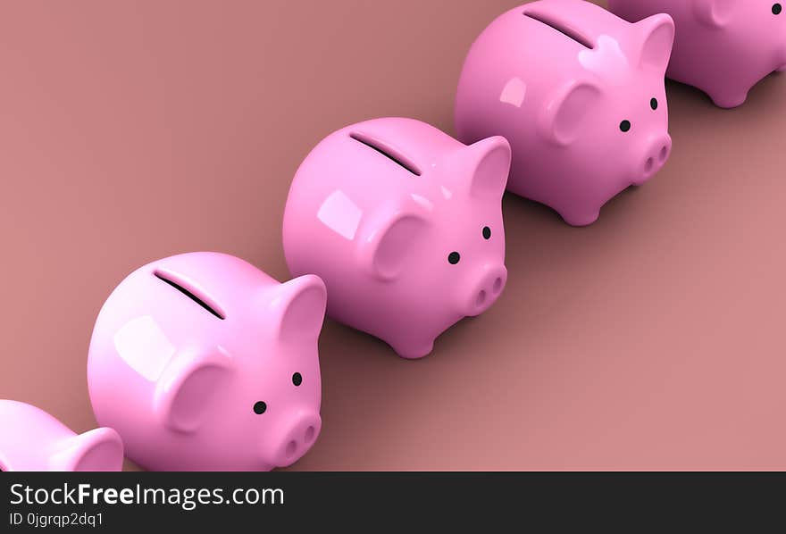 Pink, Nose, Piggy Bank, Snout