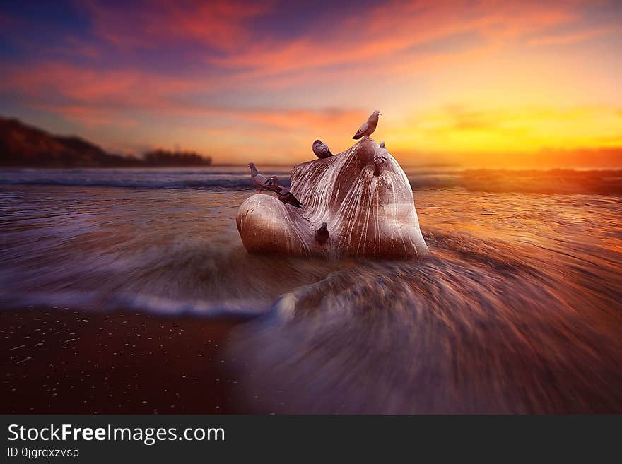 Sky, Wave, Water, Shore