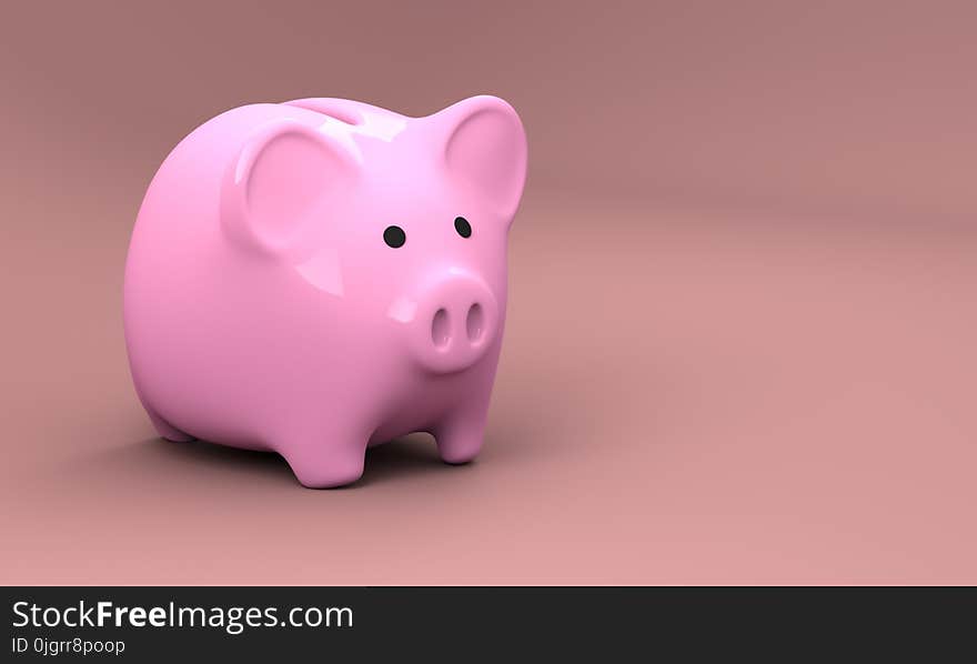 Pink, Piggy Bank, Saving, Snout